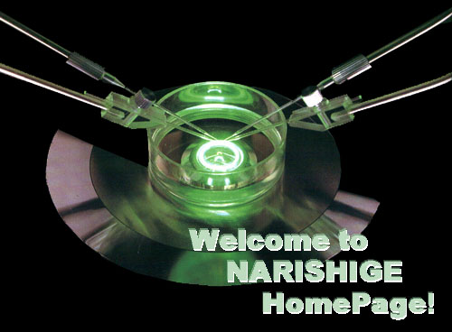 Bienvenido a Narishige